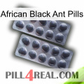 African Black Ant Pills 31